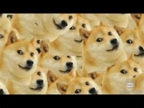 Meme tycoon look at all my runs here. I NEED MY DOGE | Roblox - The Meme Elevator - YouTube