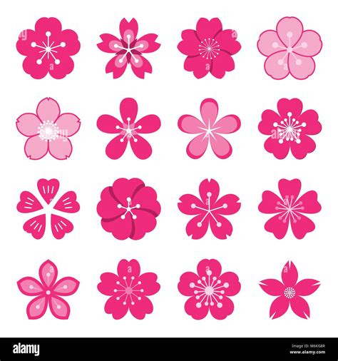 Sakura Icons Collection Of 16 Colored Ume Japanese Cherry Blossom
