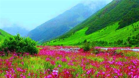 Seven Wonder Places Of India The Flower Valley In Uttarakhand