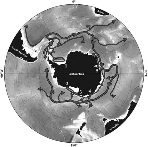 11 Scheme Of Antarctic Bottom Water Propagation In The Southern