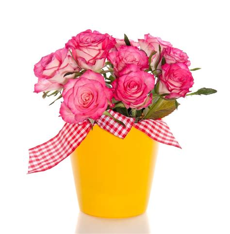 Ouquet Of Pink Roses Stock Photo Image Of Love Center 24765446
