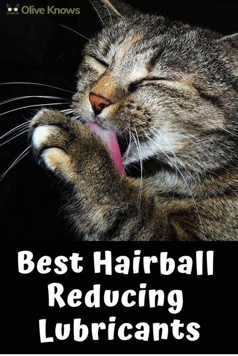 Find out what your cat throwing up clear liquid means and what to do when it happens. Best Hairball Reducing Lubricants | Cats, Cat health, Cat ...