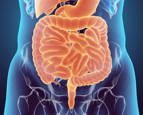 Colon cancer forms inside the large intestine, which is roughly five and a half feet long. Immunotherapy Prolongs Survival of People With Advanced ...