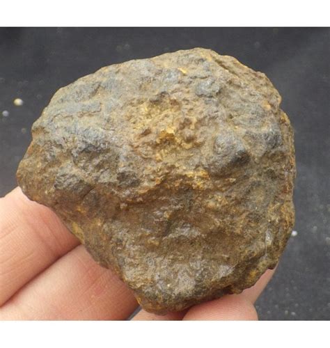 Fossils 112 G Nantan Iron Meteorite