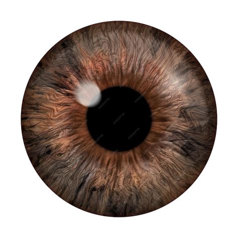 Premium Photo Realistic Image Of An Eye Iris Cornea Retina With