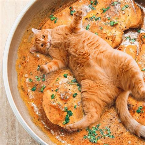 Cute Cats Photoshopped Into Food Looks Delicious