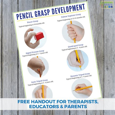 Pencil Grasp Development Handout | Pencil grasp, Pencil ...