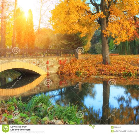 Beautiful Autumn Landscape With River Bridge And Trees