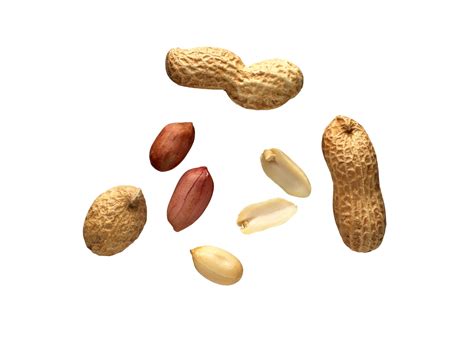 Nuts On A Transparent Background 13527552 Png
