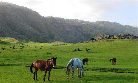 20 lugares que tenés que conocer en Córdoba (para poder decir que