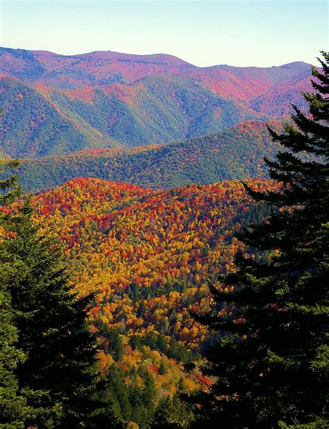 Fall Color Along The Blue Ridge Parkway In North Carolina