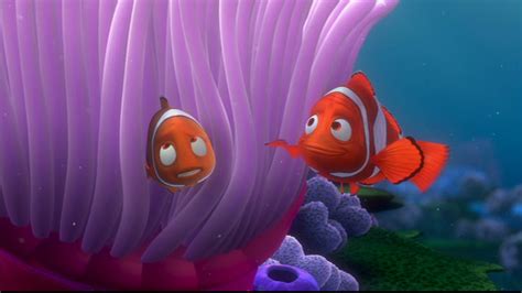 Finding Nemo Disney Photo 33585939 Fanpop