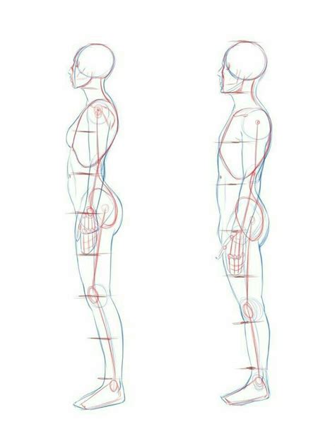 Referencia De Como Dibujar El Cuerpo De Una Persona Body Reference Drawing Figure Drawing