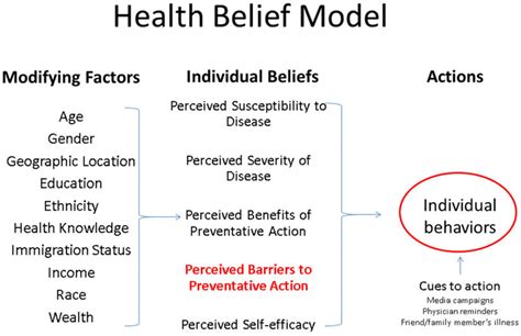 health belief model public health