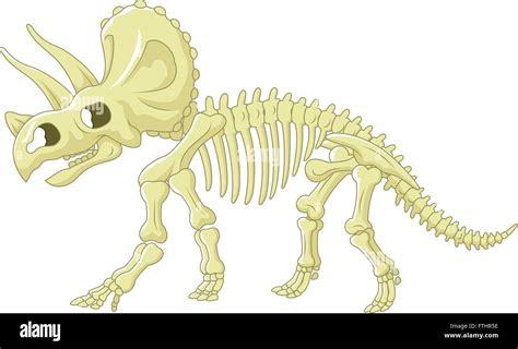 Dinosaur Svg Triceratops Svg Skeleton Svg Dinosaur Clipart Dino Svg