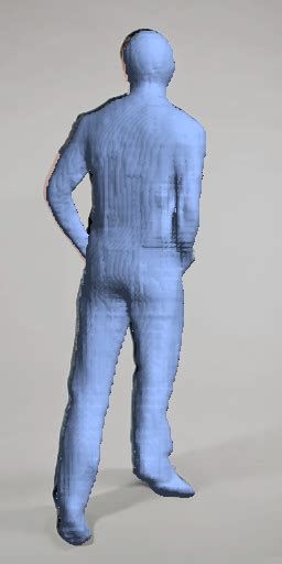 3D Human Body Reconstruction From A Single Image Via Volumetric