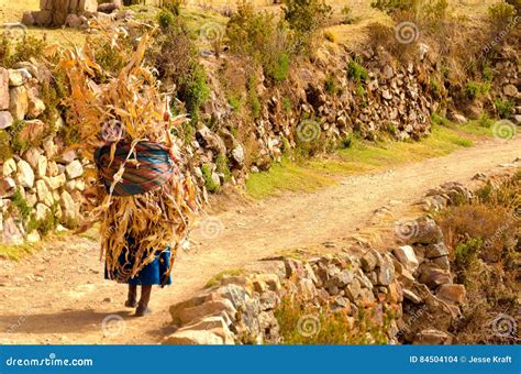 Indigenous Woman On Path In Bolivia Stock Photo Image Of Altitude