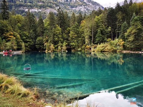 Blausee O Lago Mais Lindo E Impressionante Da Suíça • Contando Destinos