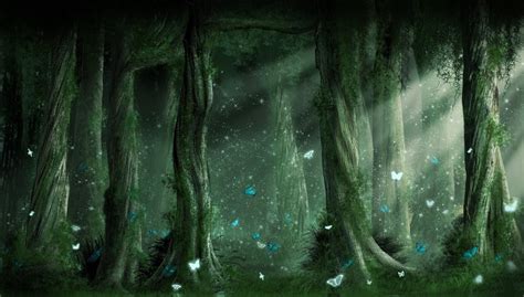 Dark Enchanted Forest Wallpapers Top Free Dark Enchanted Forest