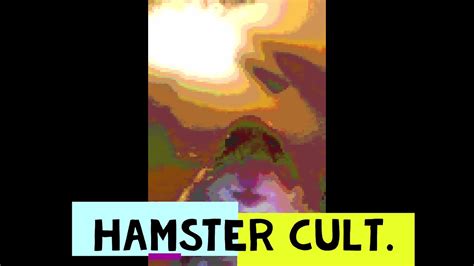 Hamster Cult Normal Edition Youtube