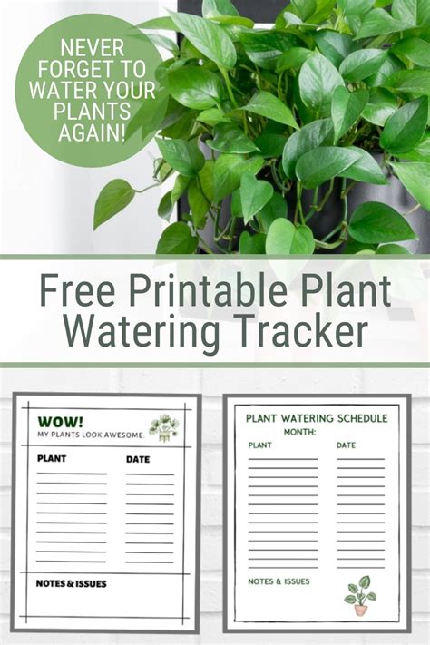Printable Plant Watering Schedule Template