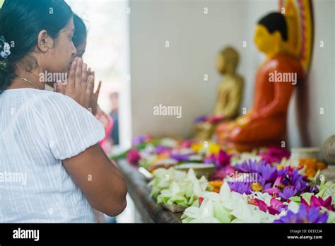 Buddhist Woman Praying At Sri Maha Bodhi In The Mahavihara The Great