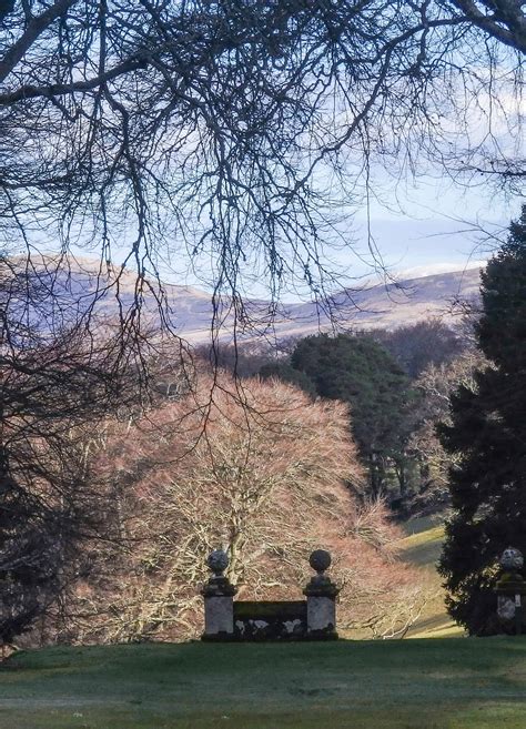 Dawdling at Dawyck Botanic Garden - Love from Scotland