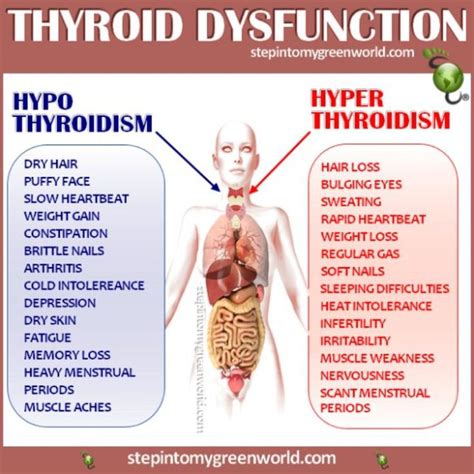 Thyroid Issues Austin Texas Functional Medicine And Nutrition