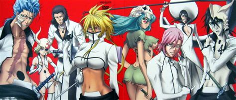 Espadas Bleach Anime Photo Fanpop Page