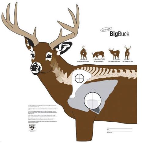 Printable Deer Targets