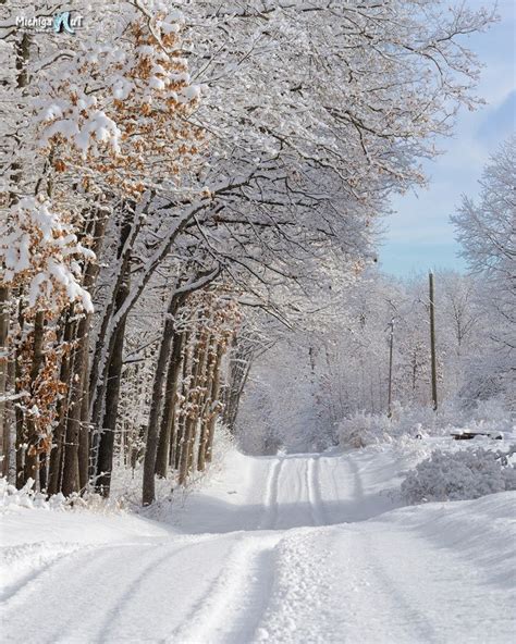 Winter In Michigan Fresh Tracks Countryside Road In Winter