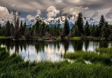 The Reflection Of Mount Moran In The Bend Of The Snake River Is One