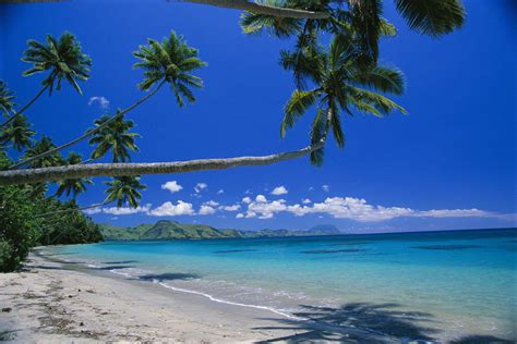 Fiji Kadavu Island By Ron Dahlquist Printscapes