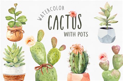Cacti Watercolor Cactus Watercolor ~ Illustrations ~ Creative Market
