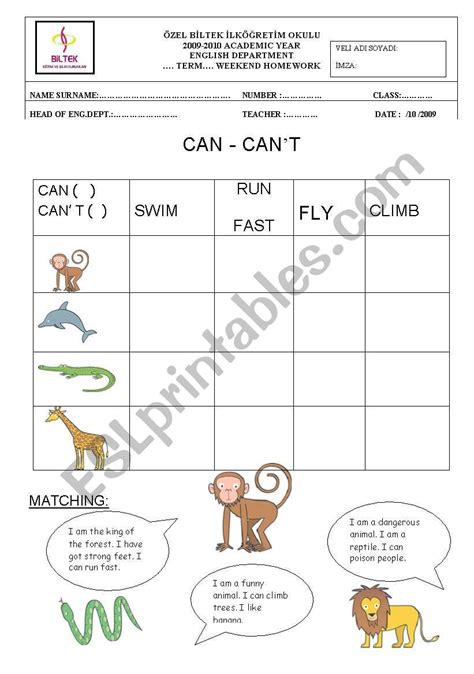 Can Can´t Animals Esl Worksheet By Snowflake20