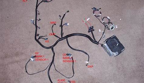 5 pin wiring harness