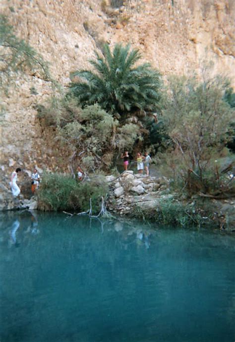 Oasis De Montagne Lacs Tozeur Région De Tozeur Gafsa Et Kebili