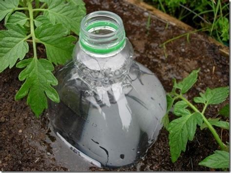 Diy Drip Irrigation System Made From Plastic Bottles Ann Inspired