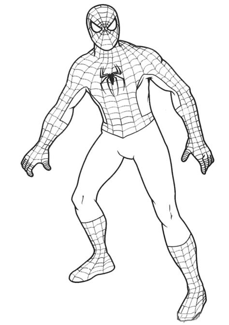 Dibujos De Spiderman 78772 Superhéroes Para Colorear Páginas