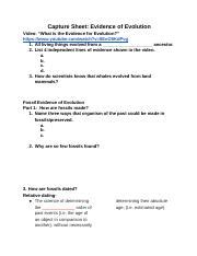 Natural selection 2 is a fairly demanding game with relatively poor optimization. Evolution_Study_GuideKey - Evolution Study Guide Answer Key 1 What is natural selection the ...