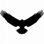 Eagle Icon Bird Vector Animal Icons Aquila