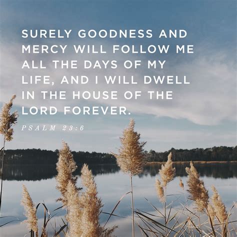Surely Goodness And Mercy Will Follow Me All The Days Of My Life And I