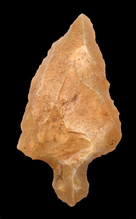 Middle Paleolithic Earliest Oldest First Arrowhead Aterian Point
