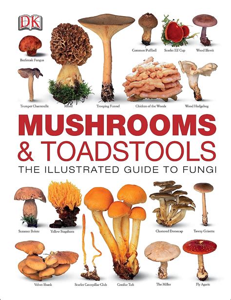 Mushrooms And Toadstools The Definitive Guide To Fungi The