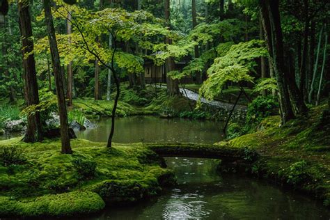 Heart Shaped Garden Of The Saihoji Or Kokedera Moss Temple In Kyoto