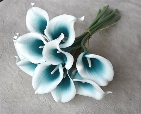10 Picasso Teal Blue Calla Lilies Real Touch Flowers DIY Silk Etsy