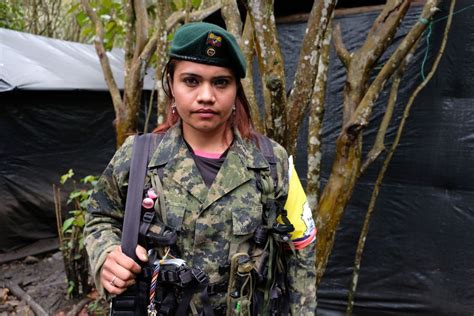 The Colombia Farc Guerrilla Group