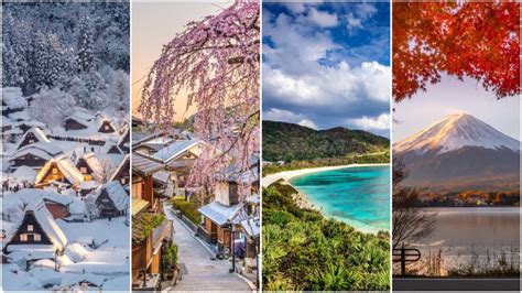 ¿cuál Es La Mejor Época Para Viajar A Japón Guía 🥇