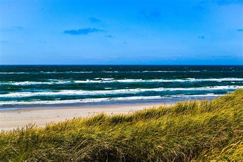 Dunes Reed Sea Denmark Summer North Sea Beach 20 Inch By 30 Inch