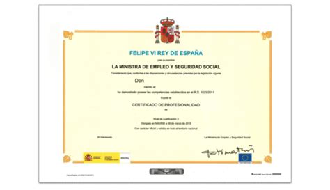 Titulo Certificado Profesionalidad Felipe It Fuenllana